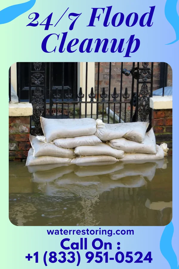 24/7 Flood Cleanup in Walthall, MS