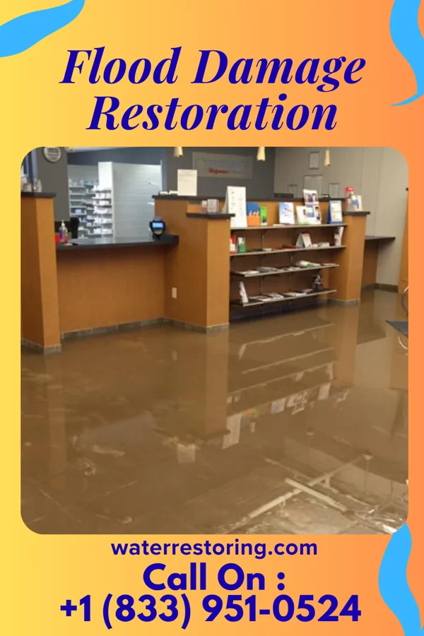 Flood Damage Restoration in Walthall, MS