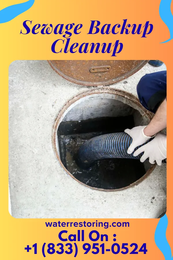 Sewage Backup Cleanup in Walthall, MS